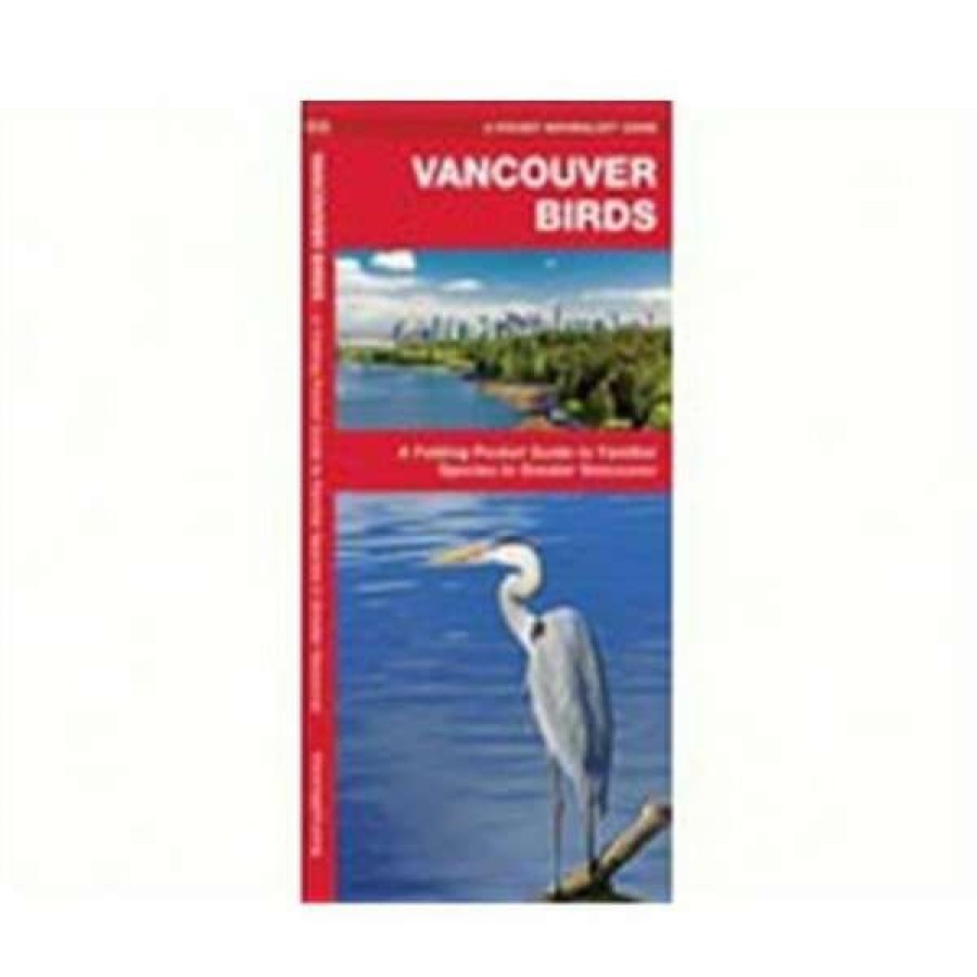 Shop Wfp1583555491 Vancouver Birds Wholesale